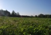 Фото Срочно продается земельный участок в деревне Волково Рузский район Московская область